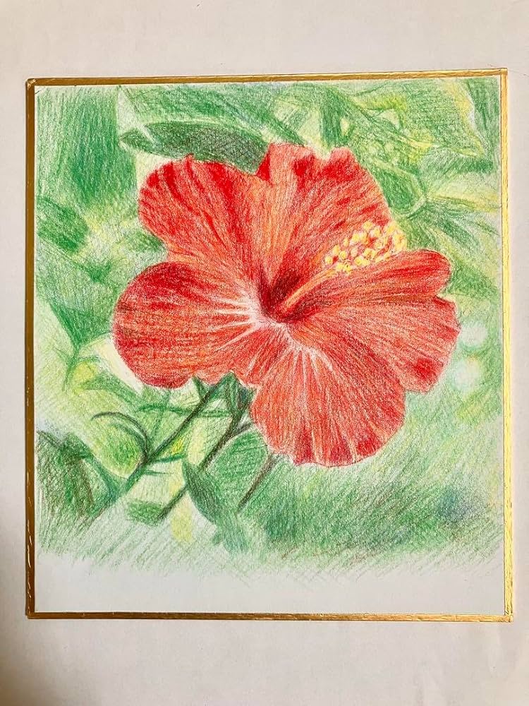 Amazon.co.jp: ハイビスカス 手描き イラスト 色鉛筆画 寸松庵